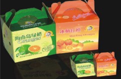 點擊放大